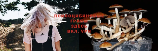 PSILOCYBIN Рославль