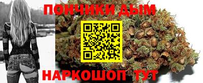 Альфа ПВП Можга