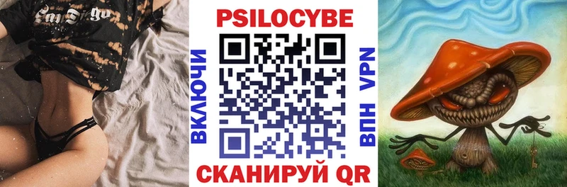 Псилоцибиновые грибы мицелий  Чебаркуль 