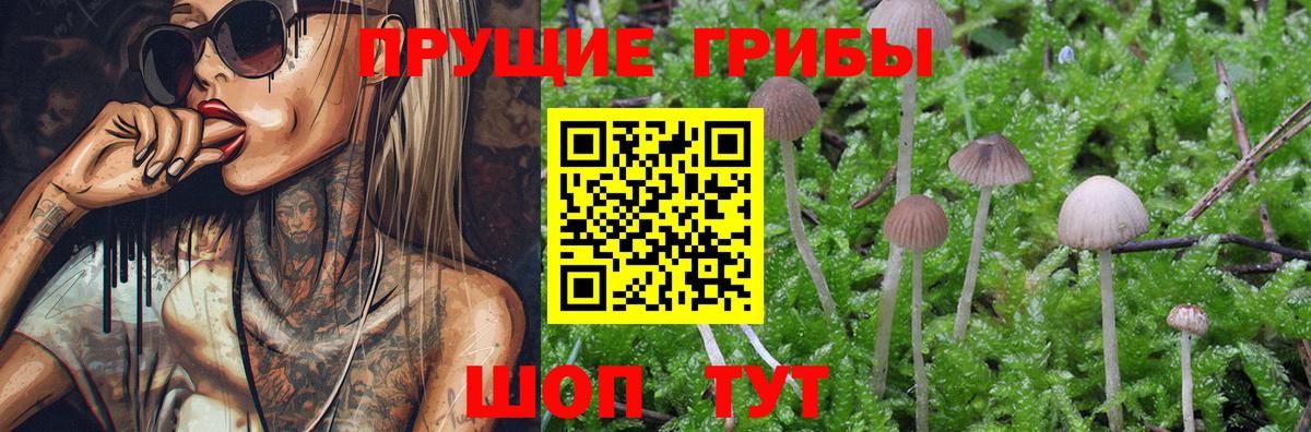 Псилоцибиновые грибы MAGIC MUSHROOMS Чебаркуль